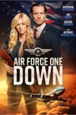 Air_Force_One_Down_poster